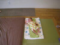 赤ちゃん連れは１日２組まで